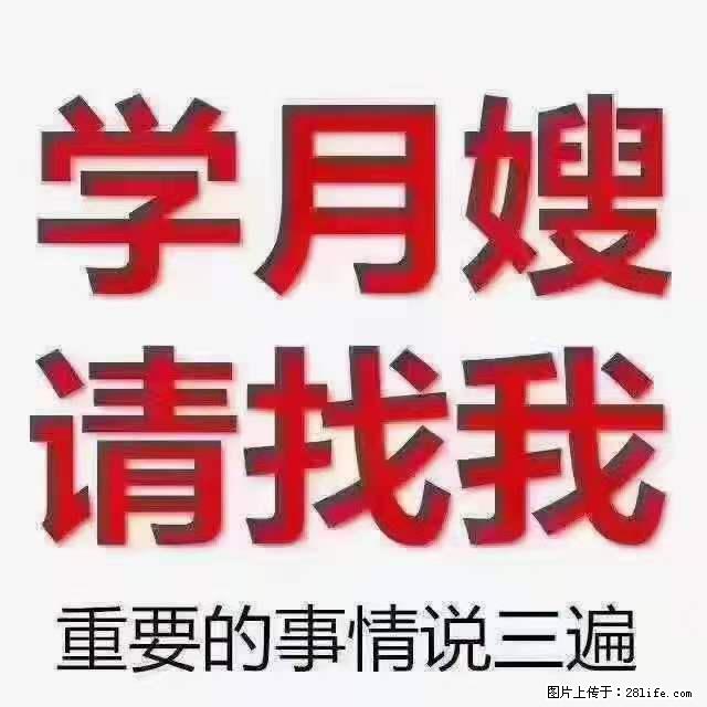 为什么要学习月嫂，育婴师？ - 其他广告 - 广告专区 - 崇左分类信息 - 崇左28生活网 chongzuo.28life.com