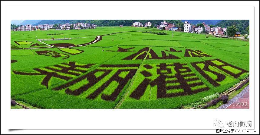 【春天，广西桂林灌阳县向您发出邀请！】开篇 - 游山玩水 - 崇左生活社区 - 崇左28生活网 chongzuo.28life.com