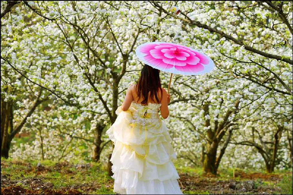 【春天，广西桂林灌阳县向您发出邀请！】我们在灌阳看梨花 - 游山玩水 - 崇左生活社区 - 崇左28生活网 chongzuo.28life.com