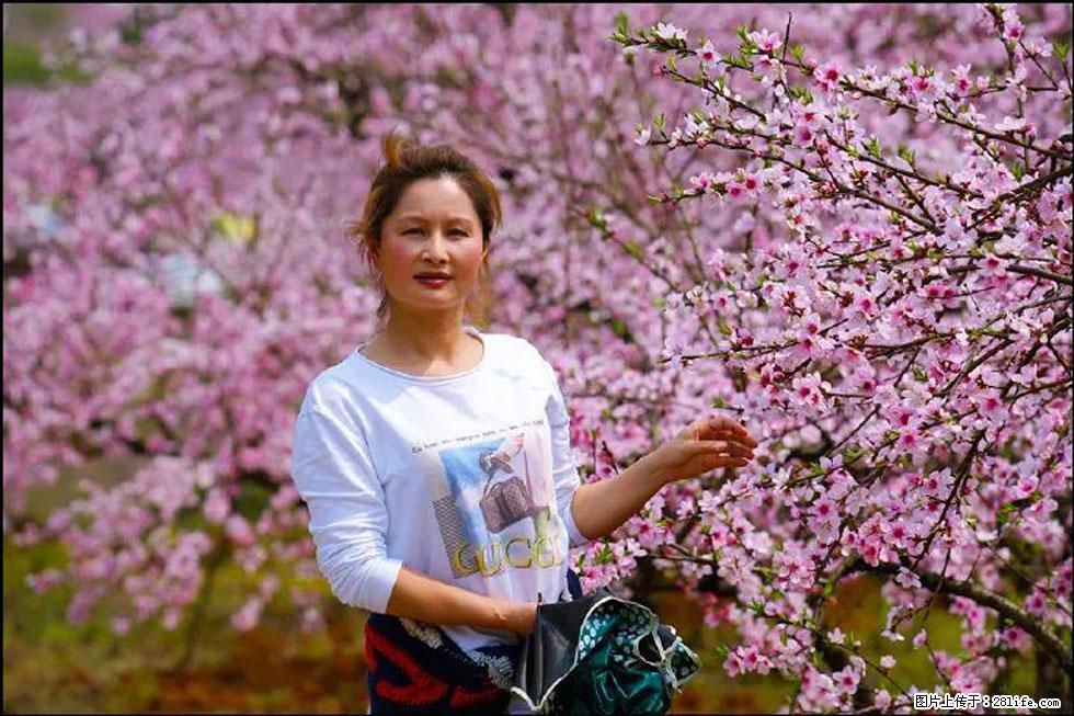【春天,广西桂林灌阳县向您发出邀请!】官庄村有个醉美的桃花园 - 游山玩水 - 崇左生活社区 - 崇左28生活网 chongzuo.28life.com