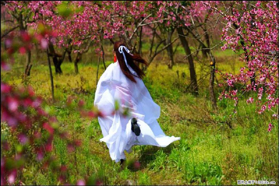 【春天,广西桂林灌阳县向您发出邀请!】官庄村有个醉美的桃花园 - 游山玩水 - 崇左生活社区 - 崇左28生活网 chongzuo.28life.com