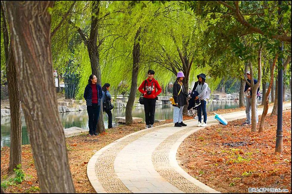 【春天，广西桂林灌阳县向您发出邀请！】江口老街又逢春 - 游山玩水 - 崇左生活社区 - 崇左28生活网 chongzuo.28life.com