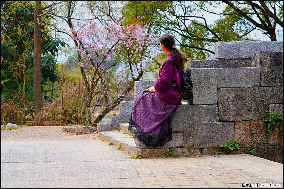 【春天，广西桂林灌阳县向您发出邀请！】江口老街又逢春 - 游山玩水 - 崇左生活社区 - 崇左28生活网 chongzuo.28life.com