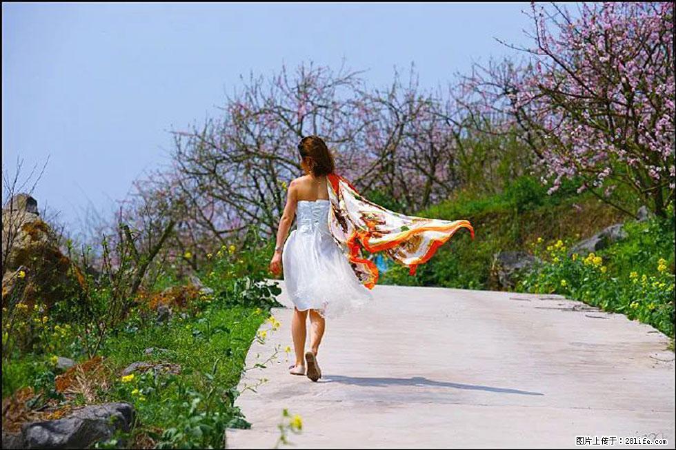 【春天，广西桂林灌阳县向您发出邀请！】望月岭上桃花开 - 游山玩水 - 崇左生活社区 - 崇左28生活网 chongzuo.28life.com