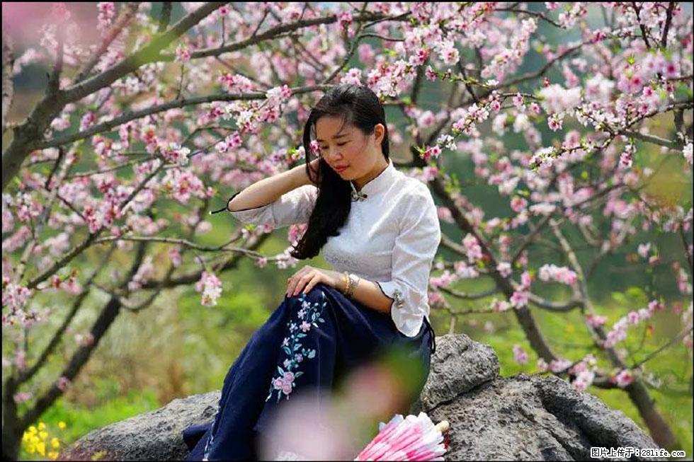 【春天，广西桂林灌阳县向您发出邀请！】望月岭上桃花开 - 游山玩水 - 崇左生活社区 - 崇左28生活网 chongzuo.28life.com