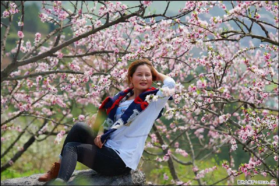 【春天，广西桂林灌阳县向您发出邀请！】望月岭上桃花开 - 游山玩水 - 崇左生活社区 - 崇左28生活网 chongzuo.28life.com