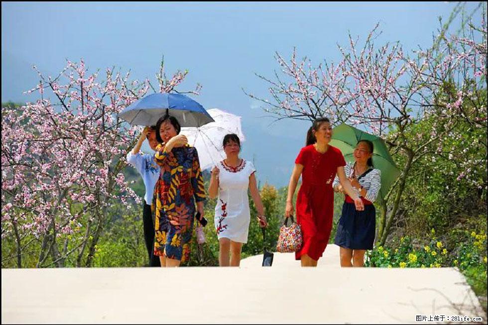 【春天，广西桂林灌阳县向您发出邀请！】望月岭上桃花开 - 游山玩水 - 崇左生活社区 - 崇左28生活网 chongzuo.28life.com