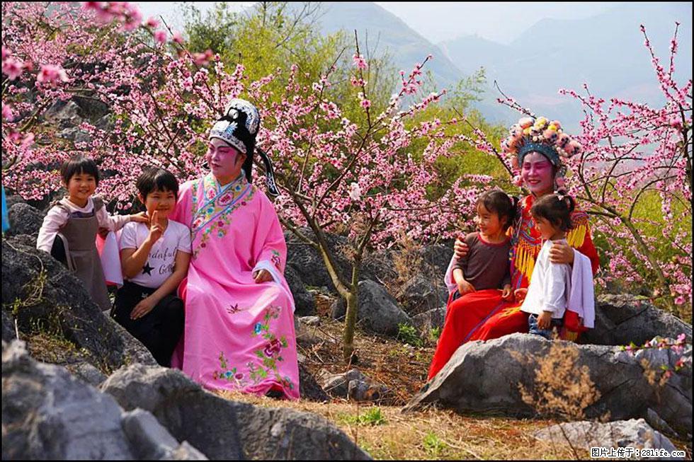 【春天，广西桂林灌阳县向您发出邀请！】望月岭上桃花开 - 游山玩水 - 崇左生活社区 - 崇左28生活网 chongzuo.28life.com