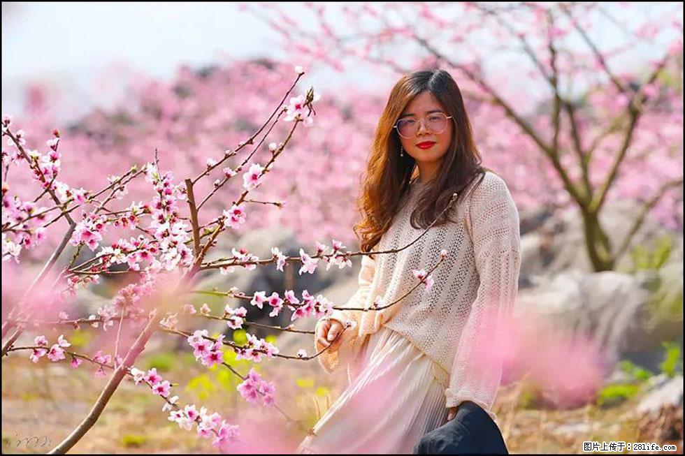 【春天，广西桂林灌阳县向您发出邀请！】望月岭上桃花开 - 游山玩水 - 崇左生活社区 - 崇左28生活网 chongzuo.28life.com