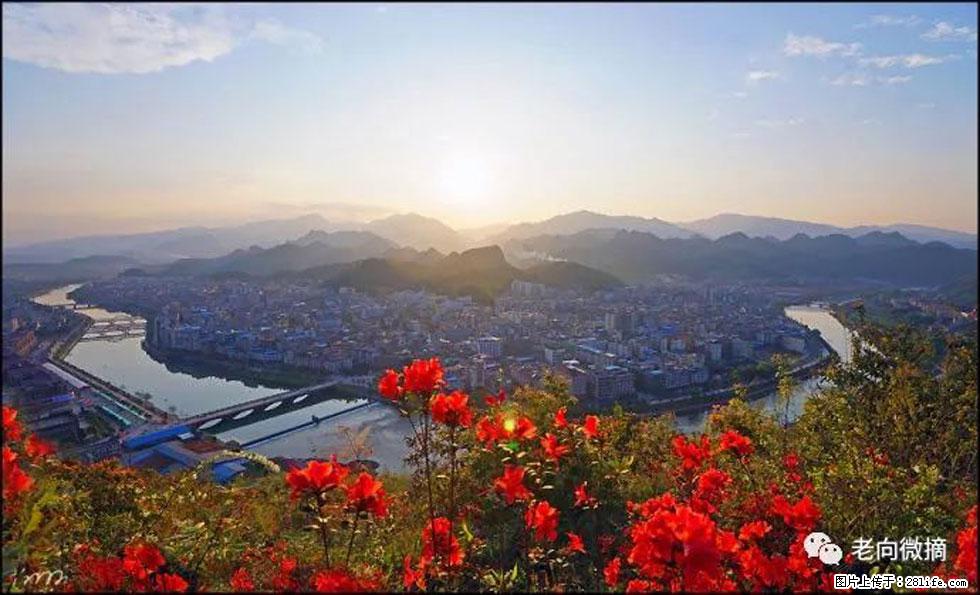 【春天,广西桂林灌阳县向您发出邀请!】登麒麟山,相约映山红 - 游山玩水 - 崇左生活社区 - 崇左28生活网 chongzuo.28life.com
