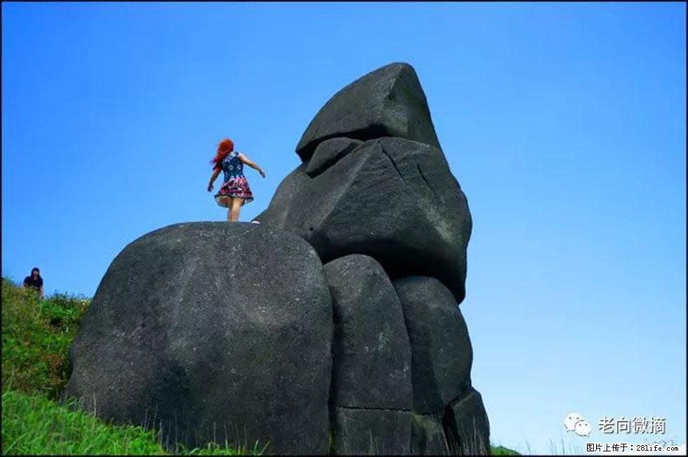 【春天,广西桂林灌阳县向您发出邀请!】宝盖山上映山红 - 游山玩水 - 崇左生活社区 - 崇左28生活网 chongzuo.28life.com