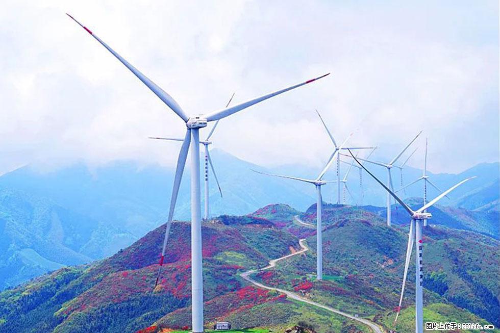 【春天,广西桂林灌阳县向您发出邀请!】春木界上映山红 - 游山玩水 - 崇左生活社区 - 崇左28生活网 chongzuo.28life.com