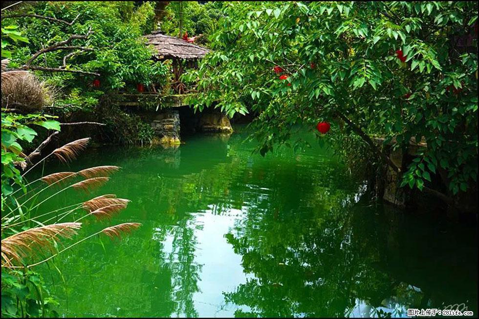 【春天,广西桂林灌阳县向您发出邀请!】如梦似幻莲溪庐 - 游山玩水 - 崇左生活社区 - 崇左28生活网 chongzuo.28life.com