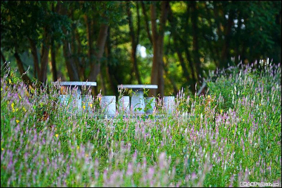 【春天,广西桂林灌阳县向您发出邀请!】熊家寨湿地公园 - 游山玩水 - 崇左生活社区 - 崇左28生活网 chongzuo.28life.com