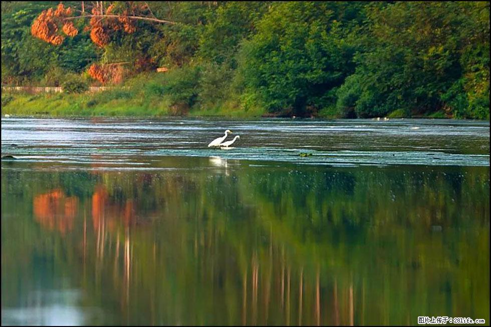 【春天,广西桂林灌阳县向您发出邀请!】熊家寨湿地公园 - 游山玩水 - 崇左生活社区 - 崇左28生活网 chongzuo.28life.com