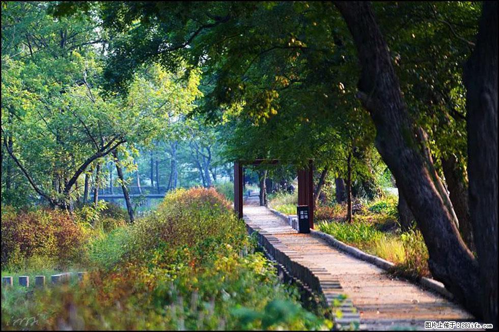 【春天,广西桂林灌阳县向您发出邀请!】熊家寨湿地公园 - 游山玩水 - 崇左生活社区 - 崇左28生活网 chongzuo.28life.com