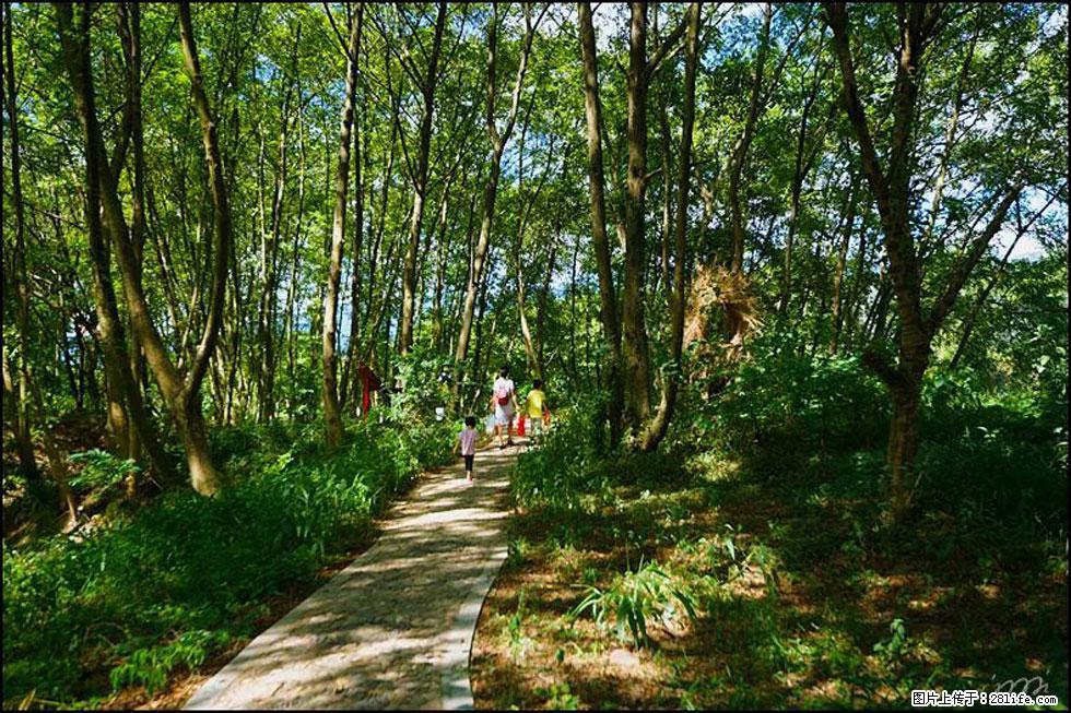 【春天,广西桂林灌阳县向您发出邀请!】熊家寨湿地公园 - 游山玩水 - 崇左生活社区 - 崇左28生活网 chongzuo.28life.com