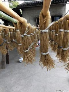 【灌阳正宗红薯粉】美女家里自己做的，干净卫生，假一赔十，价格合理，抢购电话：13737312895 - 崇左28生活网 chongzuo.28life.com