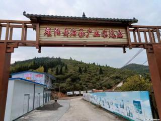 【灌阳县油茶产业示范区】一个有着充实的精神生活的人，对待身外之物自会有一种淡泊的态度 - 崇左28生活网 chongzuo.28life.com