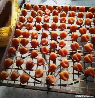 广西桂林平乐桥亭【柿饼之乡】2025年纯手工制作、无任何添加剂的第一批柿饼准备上市了，欢迎联系订购！ - 崇左28生活网 chongzuo.28life.com