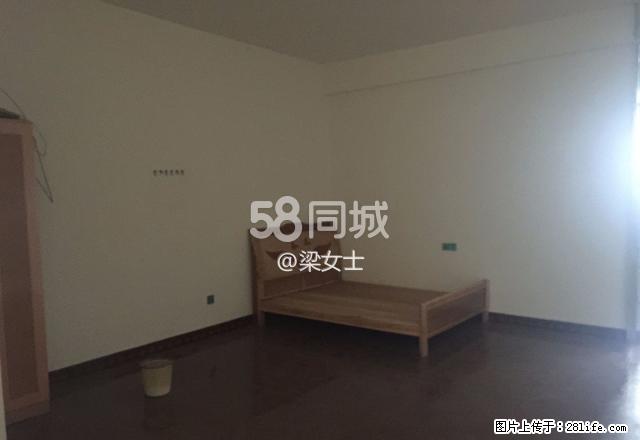 世民百货批发部 2室1厅1卫 - 房屋出租 - 房屋租售 - 崇左分类信息 - 崇左28生活网 chongzuo.28life.com