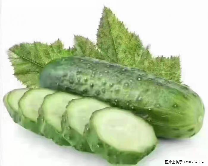 【生活小常识】吃黄瓜的好处 - 生活百科 - 崇左生活社区 - 崇左28生活网 chongzuo.28life.com
