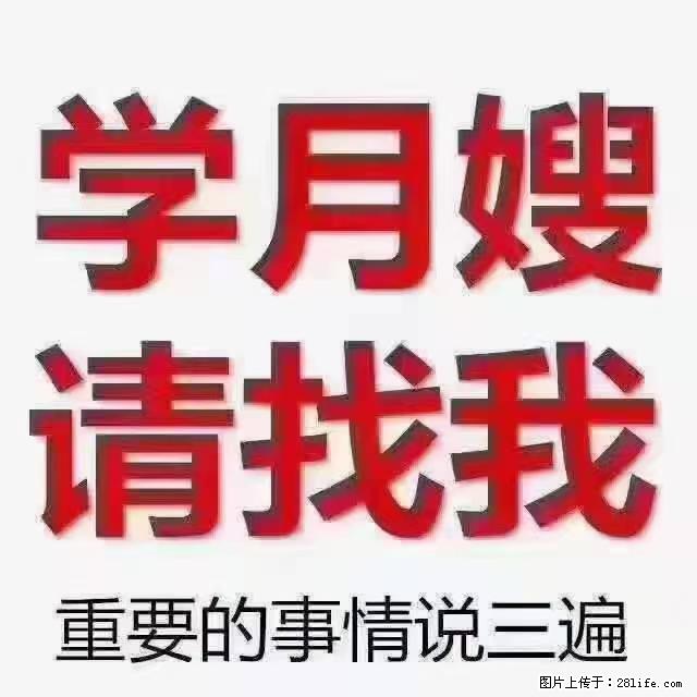 【招聘】月嫂,上海徐汇区 - 职场交流 - 崇左生活社区 - 崇左28生活网 chongzuo.28life.com