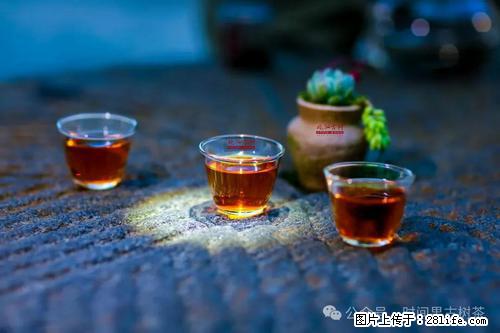 时间果百年古树2025年春红茶 - 购物交流 - 崇左生活社区 - 崇左28生活网 chongzuo.28life.com