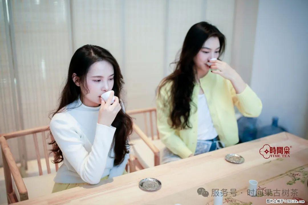 时间果百年古树龙珠普洱生茶 - 购物交流 - 崇左生活社区 - 崇左28生活网 chongzuo.28life.com