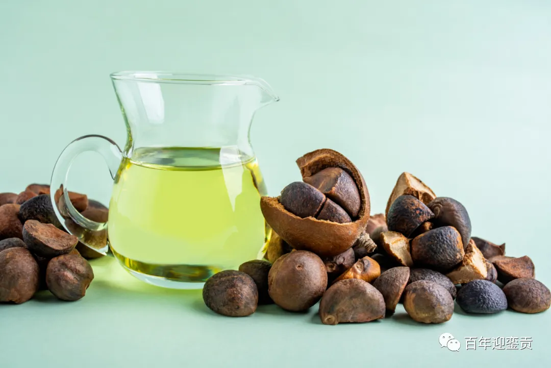 世界没有真相，只有认知，最好的食用油是中国的山茶油！ - 崇左生活资讯 - 崇左28生活网 chongzuo.28life.com