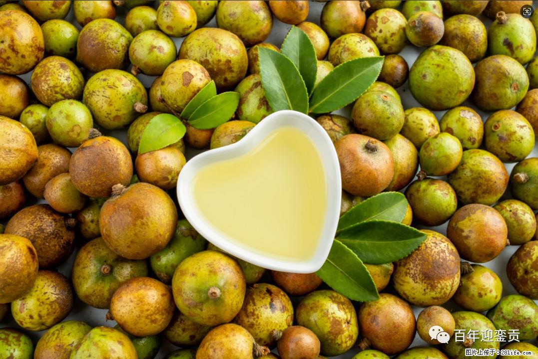 世界没有真相，只有认知，最好的食用油是中国的山茶油！ - 崇左生活资讯 - 崇左28生活网 chongzuo.28life.com