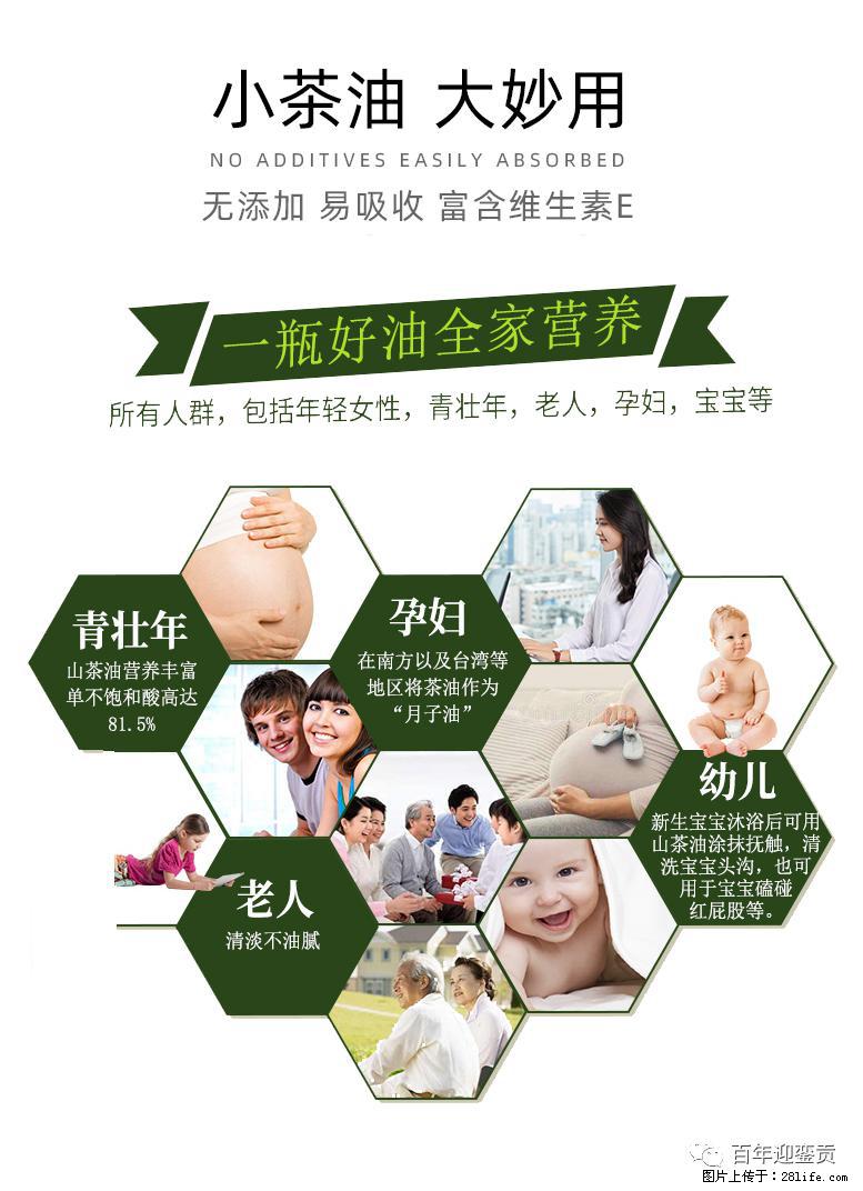 世界没有真相，只有认知，最好的食用油是中国的山茶油！ - 崇左生活资讯 - 崇左28生活网 chongzuo.28life.com