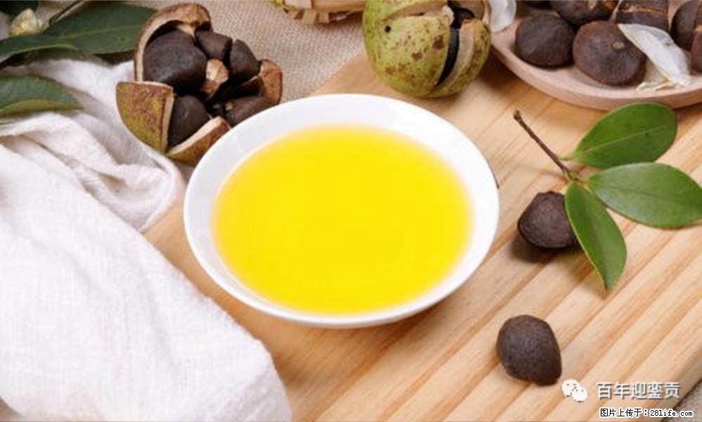 世界没有真相，只有认知，最好的食用油是中国的山茶油！ - 崇左生活资讯 - 崇左28生活网 chongzuo.28life.com