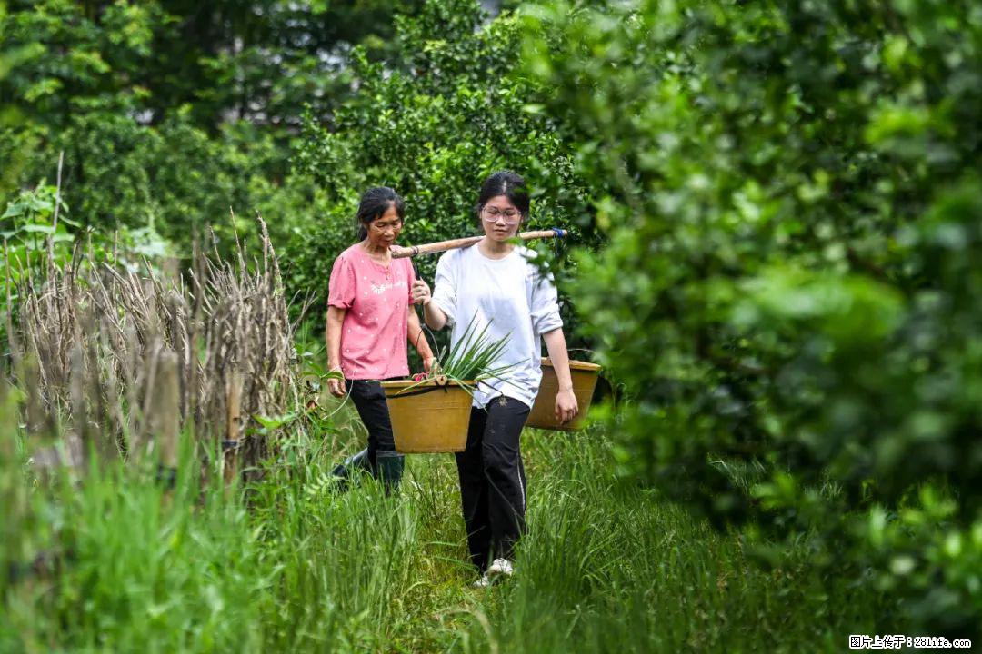全网追的“扁担女孩”,找了一份暑假工,时薪12元 - 崇左生活资讯 - 崇左28生活网 chongzuo.28life.com