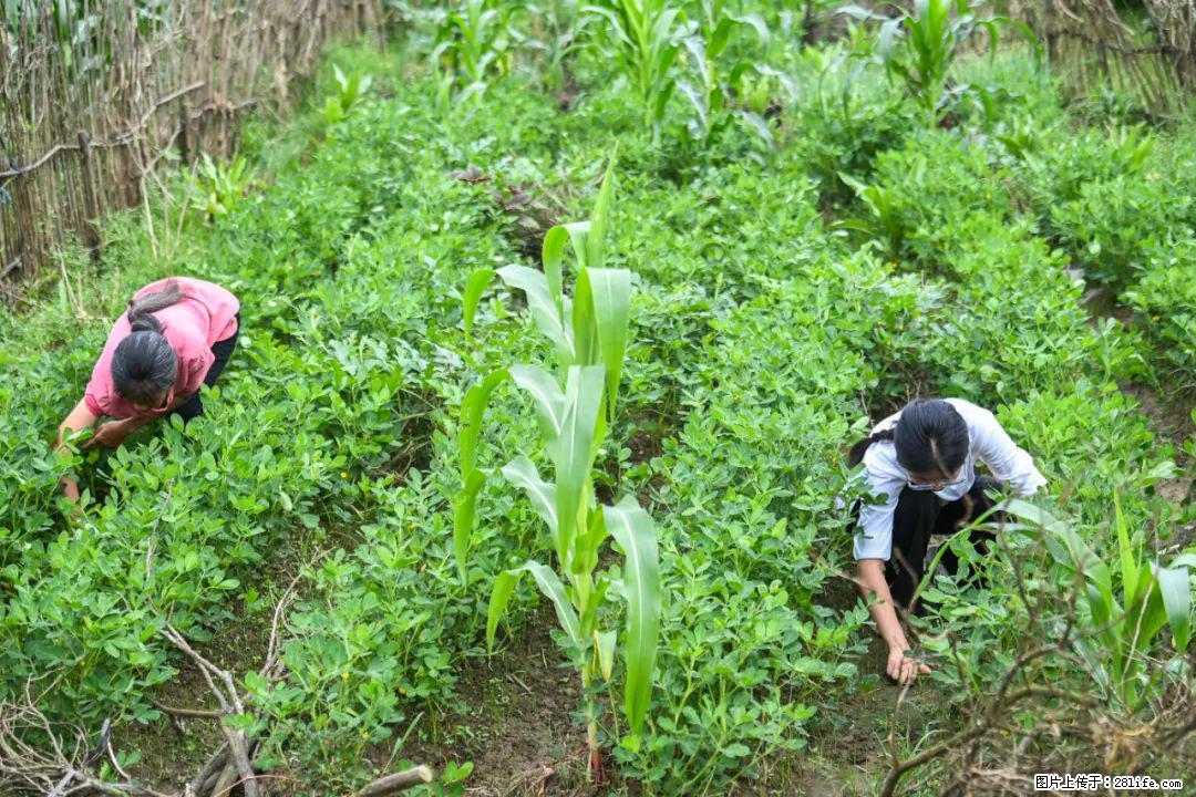 全网追的“扁担女孩”,找了一份暑假工,时薪12元 - 崇左生活资讯 - 崇左28生活网 chongzuo.28life.com