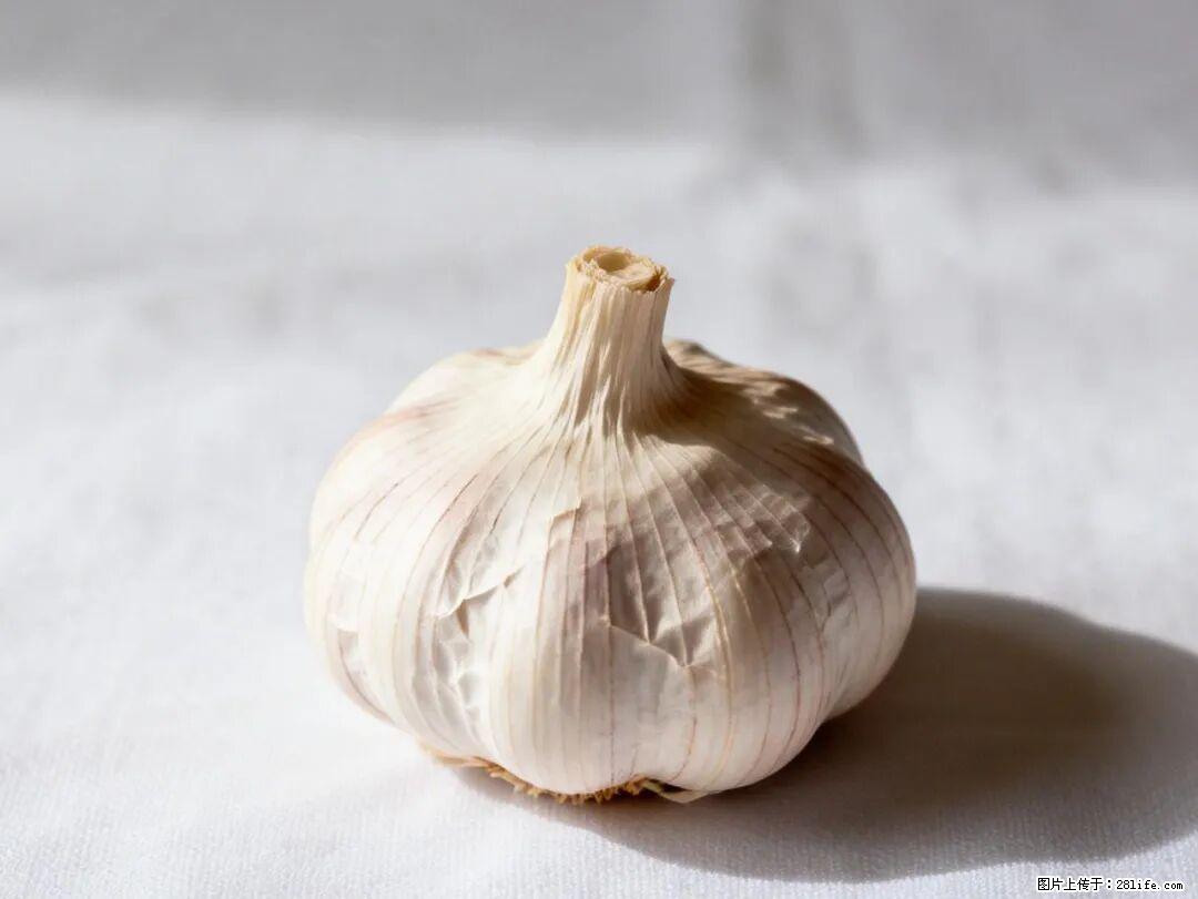 关于大蒜,除了“天然抗生素”,这4个谣言更该警惕! - 崇左生活资讯 - 崇左28生活网 chongzuo.28life.com