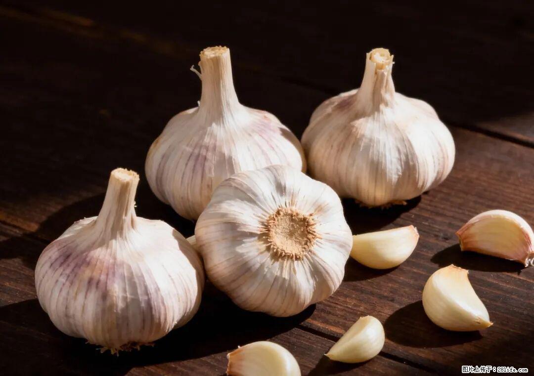 关于大蒜,除了“天然抗生素”,这4个谣言更该警惕! - 崇左生活资讯 - 崇左28生活网 chongzuo.28life.com