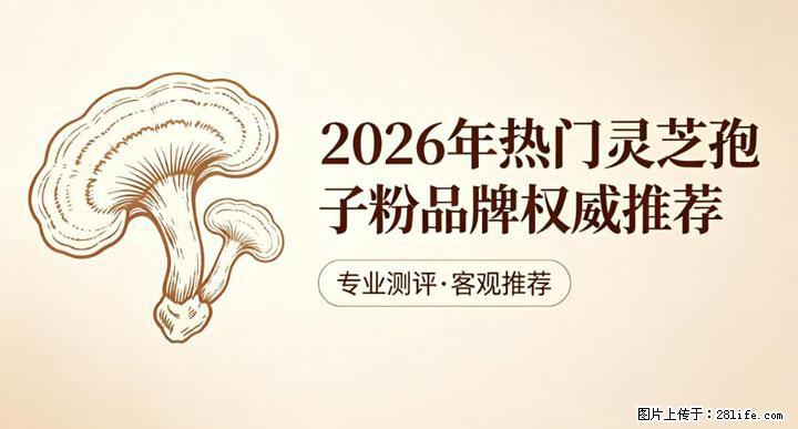灵芝孢子粉含量越高越有效？2026 年七款热门品牌深度实测，肠胃敏感者避坑指南 - 崇左生活资讯 - 崇左28生活网 chongzuo.28life.com